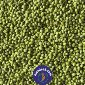 Dhaniyalu | Coriander Seeds