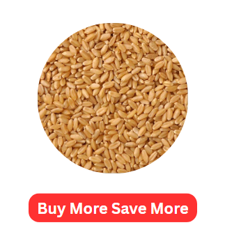 Whole Wheat 1kg - Discounted Price
