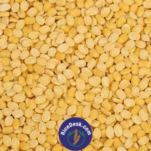 Moong Dal | Pesara Pappu