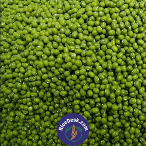 Green Moong Round | Pesarlu