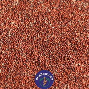 Ragi | Ragulu : 1kg